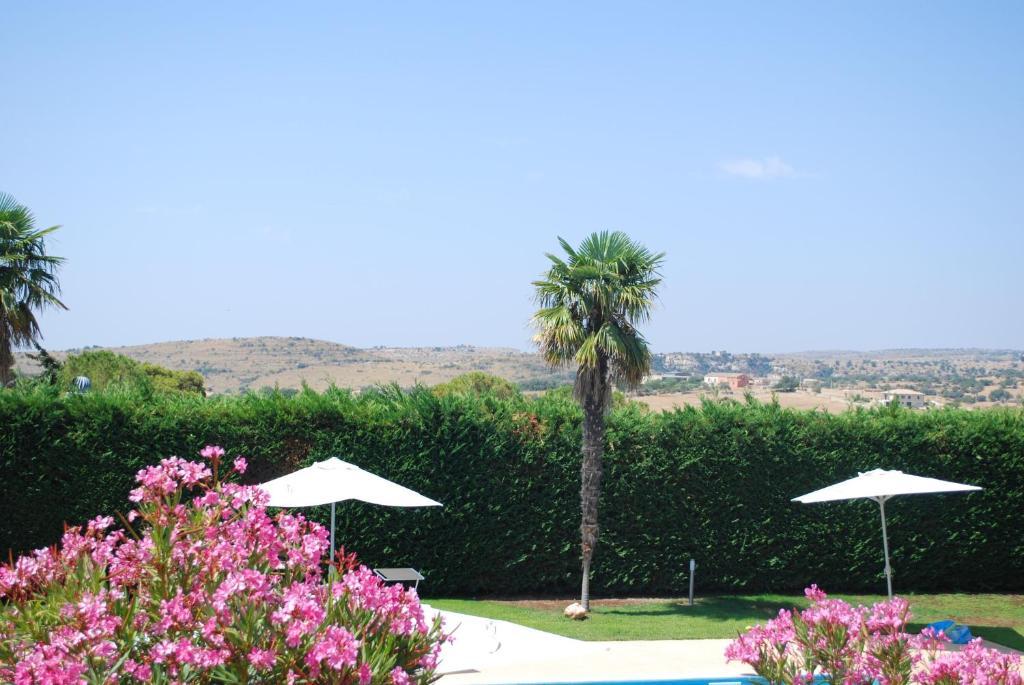 Villa Teresa San Corrado di Fuori Dış mekan fotoğraf